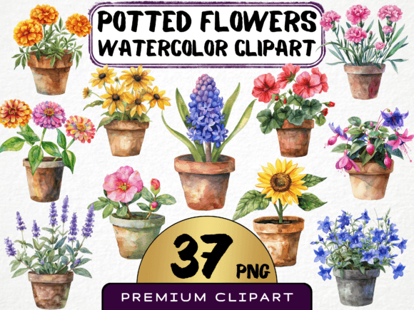 Download Potted Flowers Clipart Bundle 37 PNG - Potted Collection